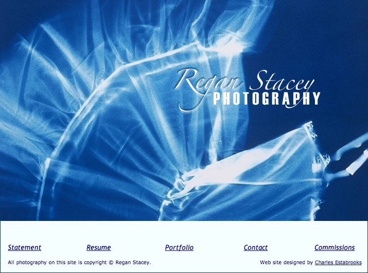 Regan Stacey Web Site