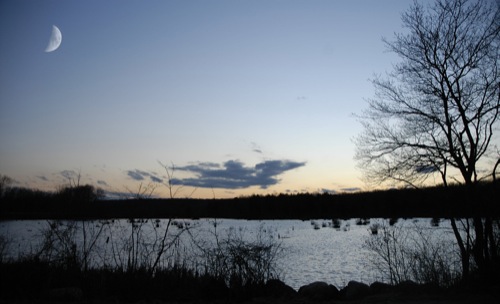 pond_sunset.jpg